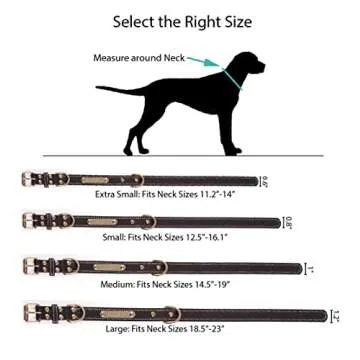 Custom Engraved Dog Collar - Soft Personalization Options
