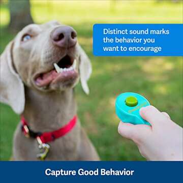 PetSafe Clik-R Dog Training Clicker - Positive Behavior Reinforcer for Pets - All Ages, Puppy and Ad...