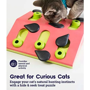 Catstages Melon Madness Puzzle Feeder for Cats
