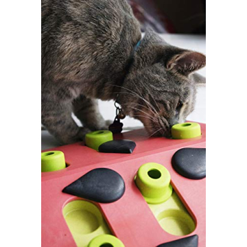 Catstages Melon Madness Puzzle Feeder for Cats