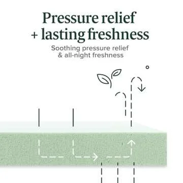 ZINUS 8 Inch Green Tea Memory Foam Mattress, Short Queen, Fiberglass Free, Patented Custom Contour Support, Sturdy Base Foam, CertiPUR-US Certified, Mattress in A Box, White