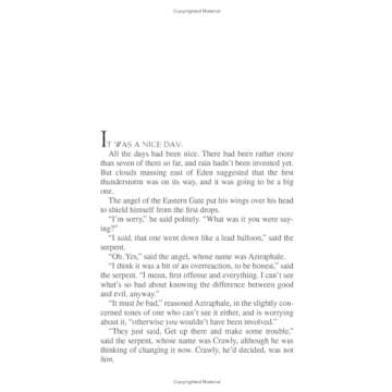 Good Omens: The Nice and Accurate Prophecies of Agnes Nutter, Witch by Neil Gaiman Terry Pratchett(2007-08-07)