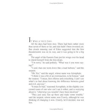 Good Omens: The Nice and Accurate Prophecies of Agnes Nutter, Witch by Neil Gaiman Terry Pratchett(2007-08-07)