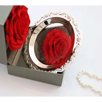 Small Round Jewelry Tray Jewelry Holder Organizer Dessert Plate Fruit Dish Ring Dish Organizer Holde...