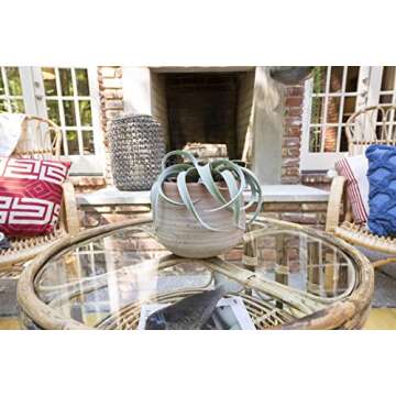 Creative Co-Op Small Orange & Whitewashed Terracotta Planter