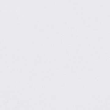 Amazon Basics Lightweight Ruffled Bed Skirt, Classic Style, Soft and Stylish 100% Microfiber With 16" Drop, Queen, Bright White, Solid