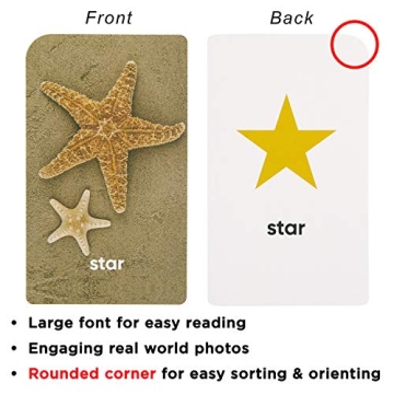 Think Tank Scholar Colors & Shapes Flash Cards for Kids