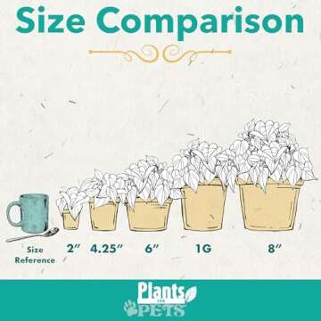 Live Snake Plant, Sansevieria Zeylanica, Indoor House Plant in Pot, Mother in Law Tongue Sansevieria Plant Live, Potted Succulent Plant, Fully Rooted Houseplant in Potting Soil by Plants for Pets