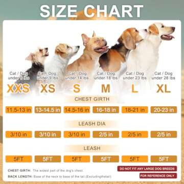 BEAUTYZOO Small Dog Harness and Leash Set, Step in No Choke No Pull Soft Mesh Dog Harnesses Reflecti...