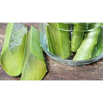Organic Aloe Vera Leaves 3 Pounds for Skincare & Wellness