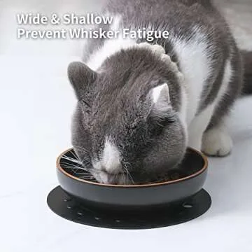 Howise 6 inch Ceramic Cat Bowls with Non-Slip Mat | 6inch Cat Dishes for food and water Set | 3 Wide Shallow Cat Food Bow | Pet Kitten Bowl Cat Dish for Indoor Cat Kitty Bowl, Black