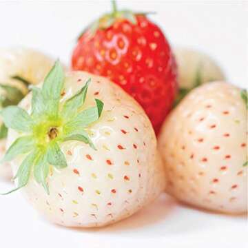 Olay Fresh Outlast Cooling White Strawberry & Mint Body Wash, Hydrating, 3 Fl Oz (89 Ml); Travel Size