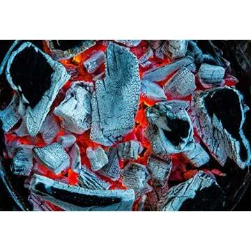 Jealous Devil Hardwood Lump Charcoal for BBQ Enthusiasts