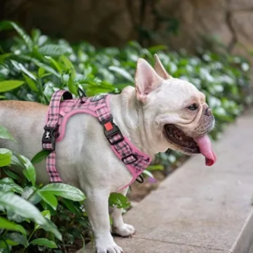 PoyPet No Pull Dog Harness Adjustable Reflective Safe Walks