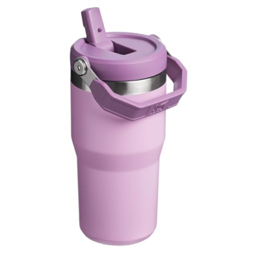 Stanley IceFlow Flip Straw Tumbler with Handle 20 oz | Twist On Lid and Flip Up Straw | Leak Resistant Water Bottle | Insulated Stainless Steel |BPA-Free | Lilac