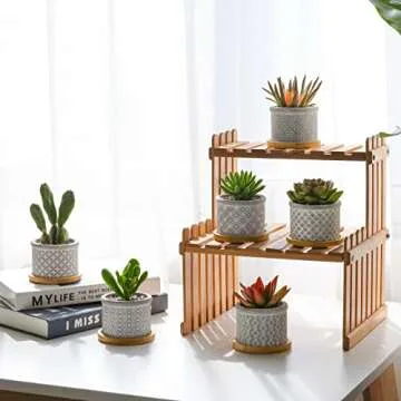 T4U 2.5 Inch Cement Succulent Pot with Bamboo Tray Set of 6, Small Grey Concrete Planter Garden Cact...
