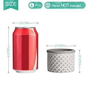 T4U 2.5 Inch Cement Succulent Pot with Bamboo Tray Set of 6, Small Grey Concrete Planter Garden Cactus Plant Herb Container for Home and Office Decoration Birthday Wedding