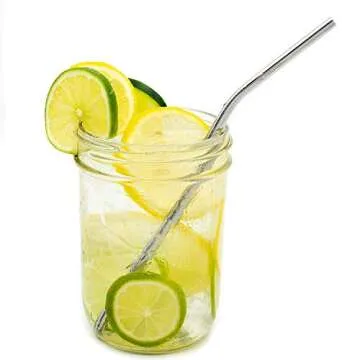 4 Reusable Stainless Steel Straws with Cleaning Brush