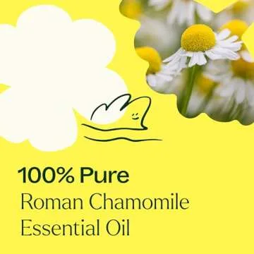 Plant Therapy Roman Chamomile Essential Oil 100% Pure, Undiluted, Natural Aromatherapy, Therapeutic Grade 5 mL (1/6 oz)