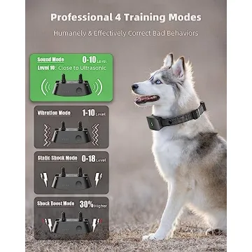 Runlane Dog Training Collar Remote - Waterproof & Rechargeable