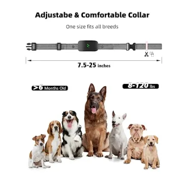 Runlane Dog Training Collar Remote - Waterproof & Rechargeable