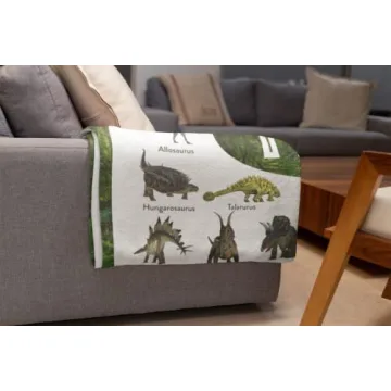 Personalized Dinosaur Blanket for Kids Custom Name Next Day Ship