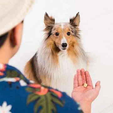 LIFE ESSENTIALS BY CAT-MAN-DOO All Natural Freeze Dried Wild Alaskan Salmon Treats for Cats & Dogs - Single Ingredient Grain Free Snack with No Additives or Preservatives, 5 Ounce Bag - 2 Pack