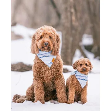 Stylish Remy+Roo Dog Bandanas | Durable & Fashionable 4 Pack