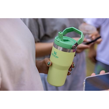 Stanley IceFlow Flip Straw Tumbler 20 oz - Leak Resistant & Stylish