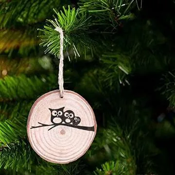 Caydo 20 Pcs 2.4-2.8 Inch Unfinished Wood Slices with Holes and 33 Feet Twine String for Home Hanging Decorations and Wedding Ornaments