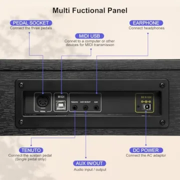 Vediya 88 Keys Digital Piano for Beginners with MIDI