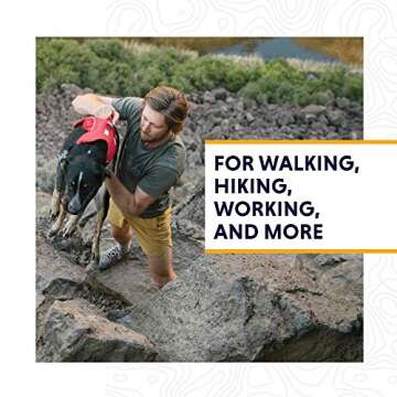 Ruffwear, Web Master, Multi-Use Support Dog Harness, Hiking and Trail Running, Service and Working, Everyday Wear, Red Currant, Small