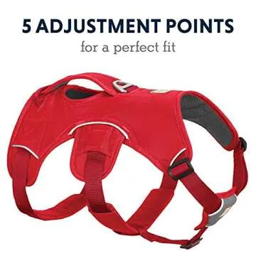 Ruffwear, Web Master, Multi-Use Support Dog Harness, Hiking and Trail Running, Service and Working, Everyday Wear, Red Currant, Small