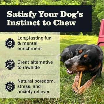 Redbarn Pet Products All Natural 5-8" Bully Sticks for Small & Large Dogs - Healthy Long Lasting Chews Variety Party Pack - 100% Beef Single Ingredient Low Odor Rawhide Free Dental Treats - 8 oz Bag
