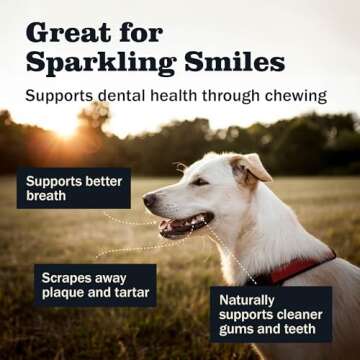 Redbarn Pet Products All Natural 5-8" Bully Sticks for Small & Large Dogs - Healthy Long Lasting Chews Variety Party Pack - 100% Beef Single Ingredient Low Odor Rawhide Free Dental Treats - 8 oz Bag