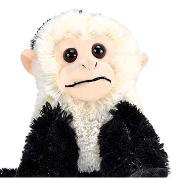 Wild Republic Capuchin Plush Animal Toy - Cuddlekins 8 Inches for Kids