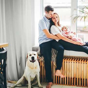 Melodieux Silver Gray Chiffon Sheer Curtains Rod Pocket Soft Silky Texture Sheer Window Panels Light Filtering Sheer Drapes for Living, Dining, Bedroom Décor - 52" W x 96" L, 2 Panels