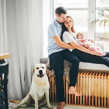 Melodieux Silver Gray Chiffon Sheer Curtains Rod Pocket Soft Silky Texture Sheer Window Panels Light Filtering Sheer Drapes for Living, Dining, Bedroom Décor - 52" W x 96" L, 2 Panels