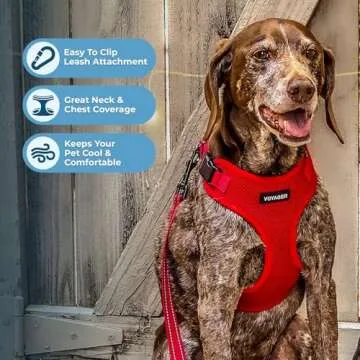 Voyager Step-in Lock Harness - All Weather Mesh Harness