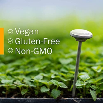 Herb Pharm Kids Organic Echinacea Glycerite - Immune Support