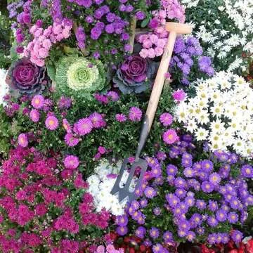 Dewit Perennial Spork Tempered Boron Steel T-Handle Tool for Gardening, Digging, and Dividing Perennial