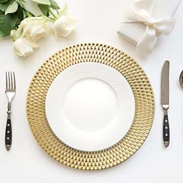 Fasmov 12 Pack Plastic Charger Plates, 13 inches Round Plate Chargers for Dinner Plates, Wedding Table Setting, Gold