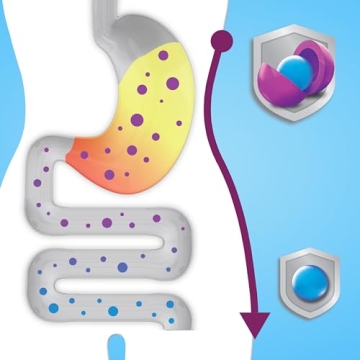 Digestive Advantage Probiotics Gummies for Kids Digestive Health