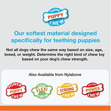 Nylabone Puppy Chew Teething Bone, Toys for Teething Puppies, Chicken Flavor, Small, Up to 25 Ibs., 1 Count