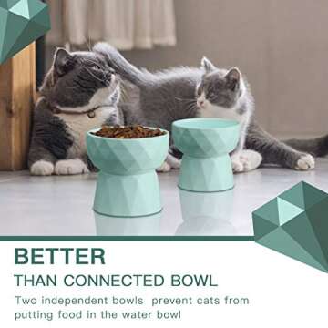 Frewinky Cat Bowls,Ceramic Cat Bowls Anti Vomiting,Raised-Cat Food and Water Bowl Set for Cats and Small Dogs,13.5 Oz,Green