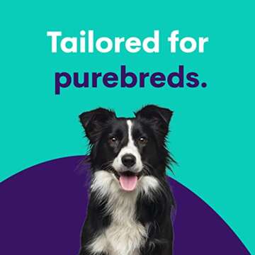 Goldendoodle DNA Test Kit - 250 Health Risks & Traits | Orivet