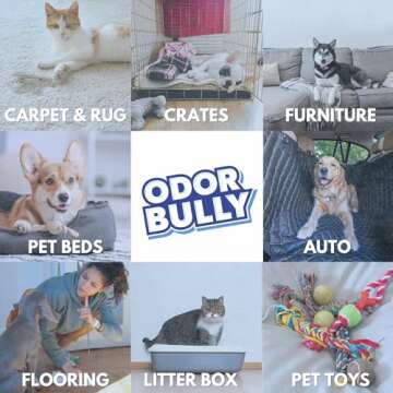 Whip-It Odor Bully Instant Odor Neutralizer Spray - Stain Remover and Odor Eliminator for Home and Car in One - 32oz