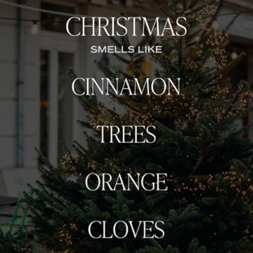 Sweet Water Decor Christmas Candle - Cinnamon, Trees, Orange, and Clove Scented Winter Candle - 12oz...