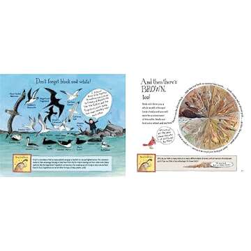 Look Up!: Bird-Watching in Your Own Backyard