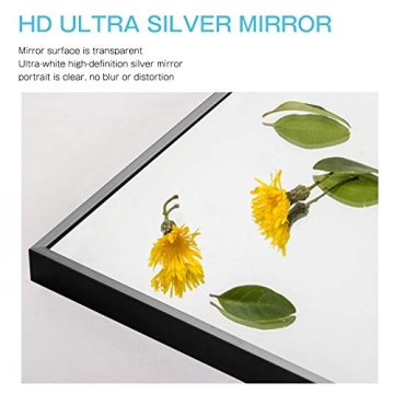 NeuType 47"x22" Large Wall Mirror - Stylish & Versatile